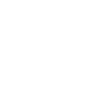 zoom_flaticon