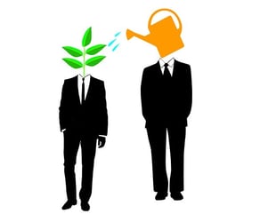 Watering plant
