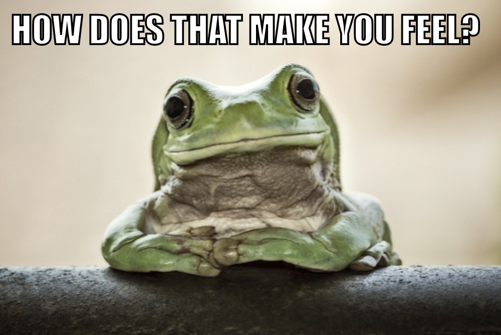 Empathetic Frog | Know Your Meme
